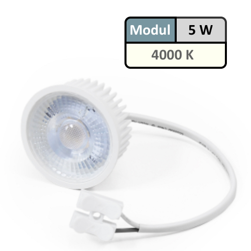 Bad Einbaustrahler Aqua | Flach | IP44 | 230V | 5W | MCOB Modul
