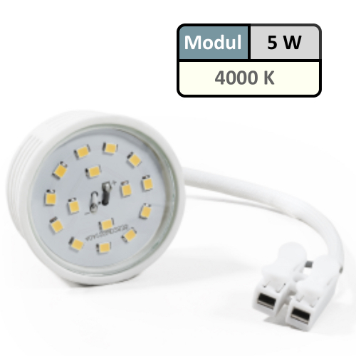 Bad Einbaustrahler Aqua | Flach | IP44 | 230V | 5W | SMD Modul